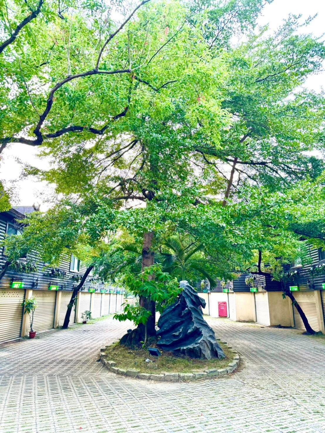 Ivy Motel Chiayi Buitenkant foto